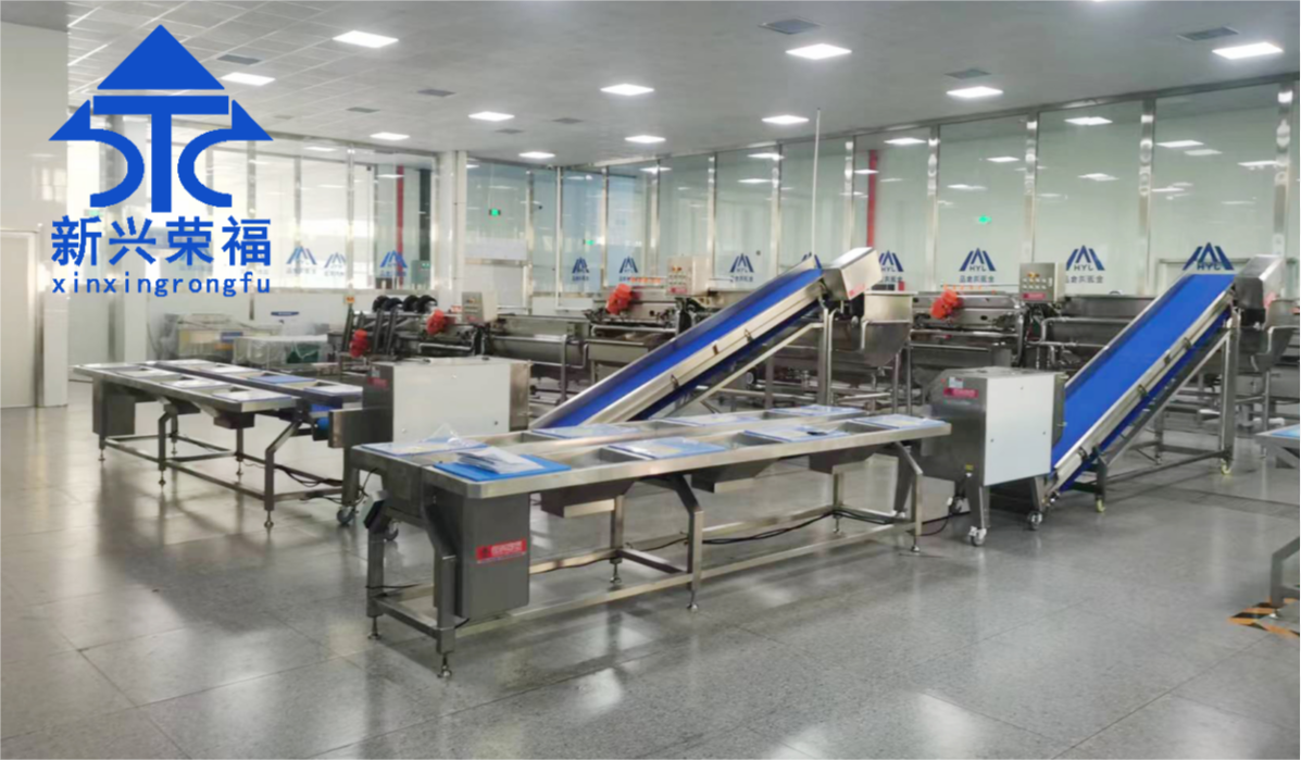 日供蔬菜20噸，新興榮福承建凈菜加工項目完成驗收